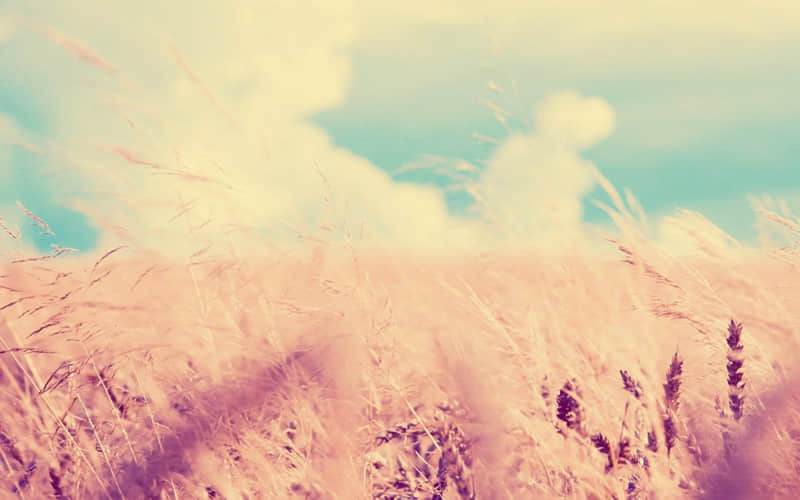 “看完一下子就不焦虑了,真好!”_wishdown.com “看完一下子就不焦虑了,真好!”_wishdown.com