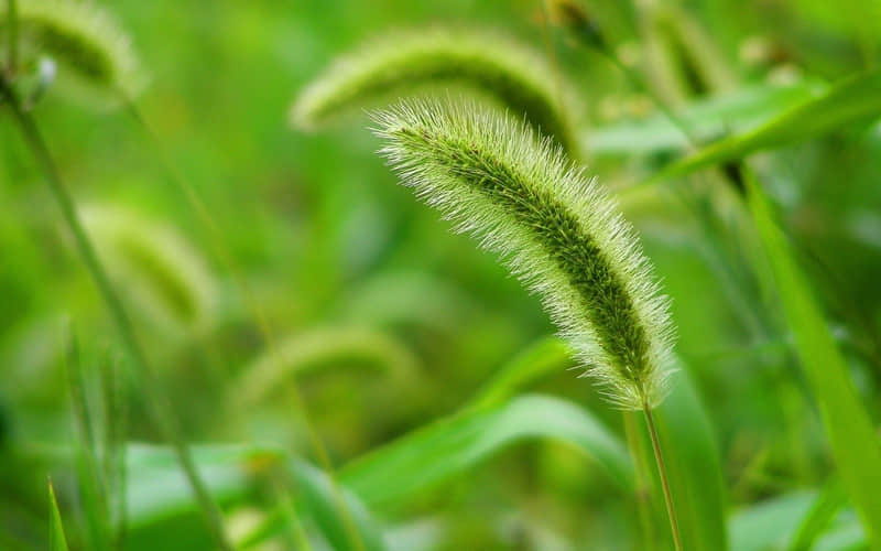 “央视文案才是天花板,句句绝美”_wishdown.com “央视文案才是天花板,句句绝美”_wishdown.com