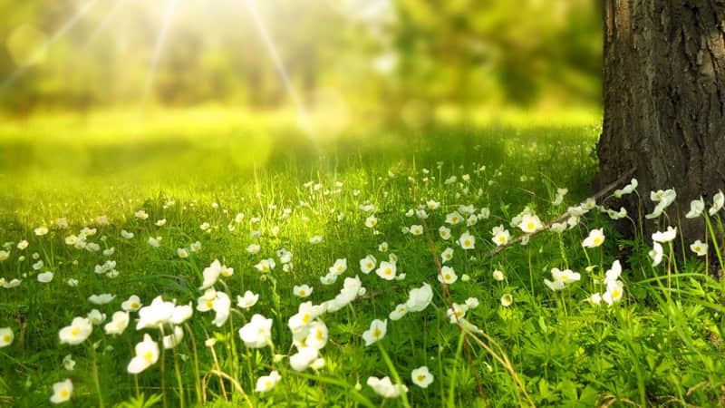 “一个女人这么说,说明她很通透~”_wishdown.com “一个女人这么说,说明她很通透~”_wishdown.com