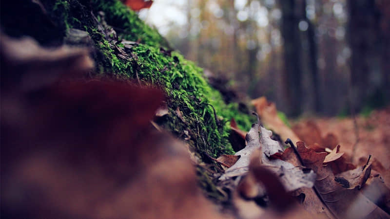 “一个女人这么说,说明她很通透~”_wishdown.com “一个女人这么说,说明她很通透~”_wishdown.com