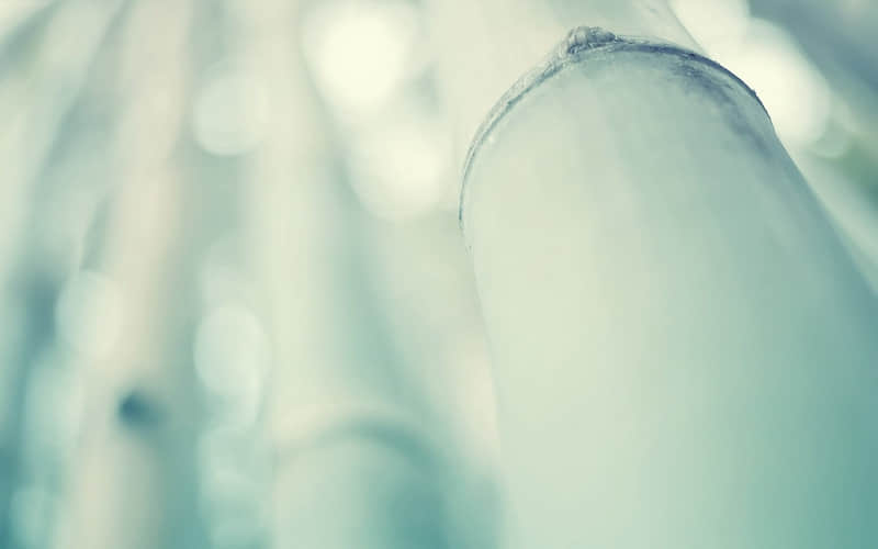 “人真的会在一瞬间放下所有执念”_wishdown.com “人真的会在一瞬间放下所有执念”_wishdown.com