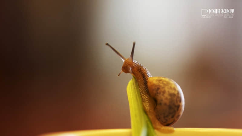 “人真的会在一瞬间放下所有执念”_wishdown.com “人真的会在一瞬间放下所有执念”_wishdown.com