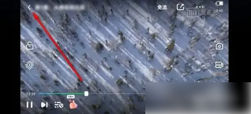 银河奇异果怎么竖屏 爱奇艺视频切换横竖屏播放方法_wishdown.com 银河奇异果怎么竖屏 爱奇艺视频切换横竖屏播放方法_wishdown.com