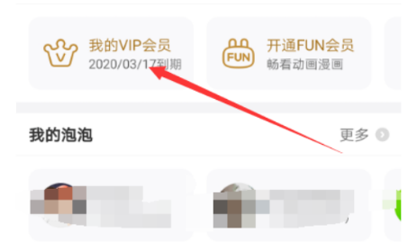 爱奇艺取消自动续费怎么操作 爱奇艺取消自动续费方法_wishdown.com 爱奇艺取消自动续费怎么操作 爱奇艺取消自动续费方法_wishdown.com