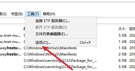 Everything怎么设置搜索支持操作符_wishdown.com Everything怎么设置搜索支持操作符_wishdown.com