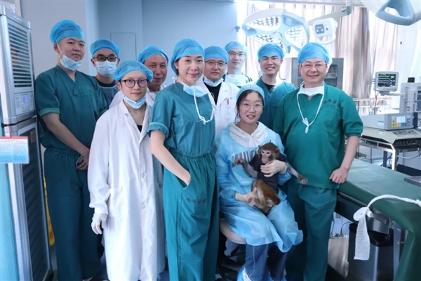 美国之外首个!我国异种器官移植猕猴存活已满一年_wishdown.com 美国之外首个!我国异种器官移植猕猴存活已满一年_wishdown.com