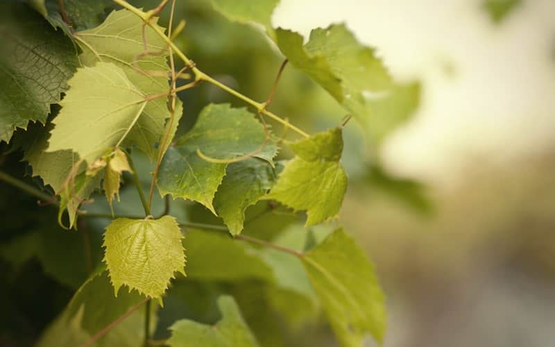 “句句反差,句句没毛病!”_wishdown.com “句句反差,句句没毛病!”_wishdown.com