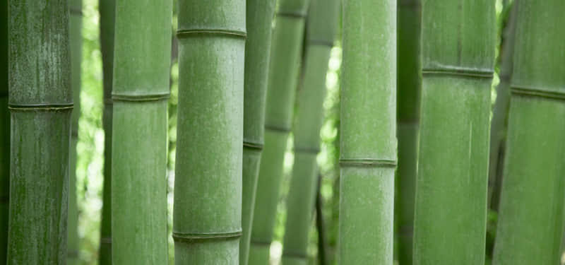 “六字朋友圈,太有感觉了~”_wishdown.com “六字朋友圈,太有感觉了~”_wishdown.com