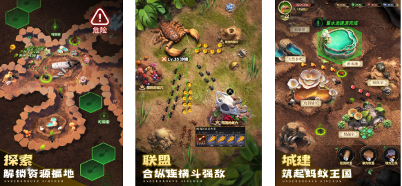 蚂蚁进化3D小游戏推荐_wishdown.com 蚂蚁进化3D小游戏推荐_wishdown.com