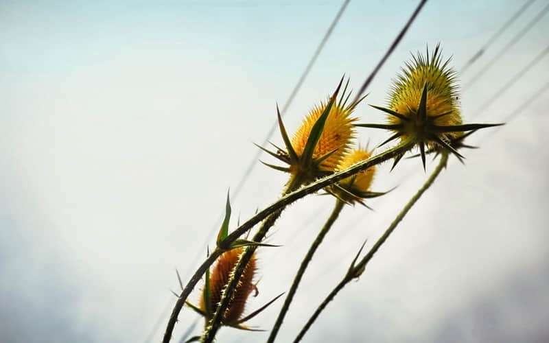 “人呐,别太正经,要有趣一点!”_wishdown.com “人呐,别太正经,要有趣一点!”_wishdown.com