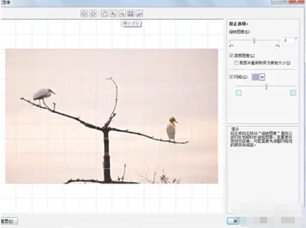 coreldraw怎么矫正图片_wishdown.com coreldraw怎么矫正图片_wishdown.com