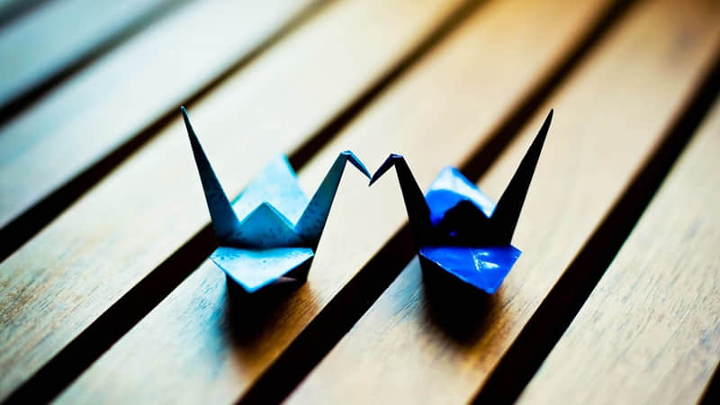 “挑一句,去微信置顶吧,适合落落大方的你”??_wishdown.com “挑一句,去微信置顶吧,适合落落大方的你”??_wishdown.com