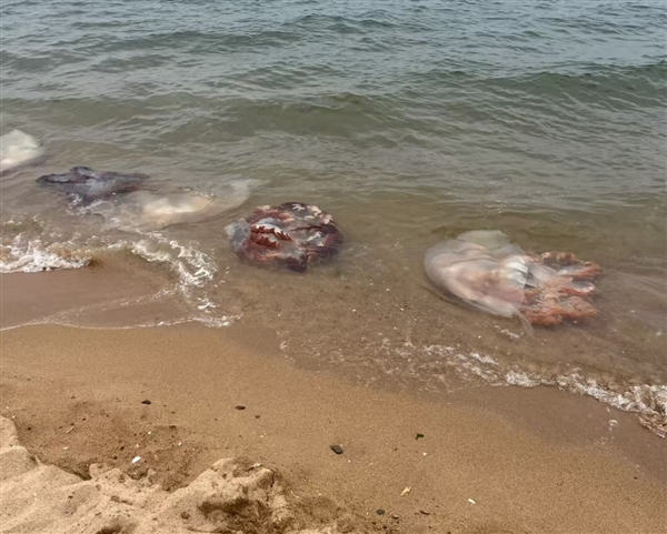 ӾƺĦгѹ亣شˤ Ժж4