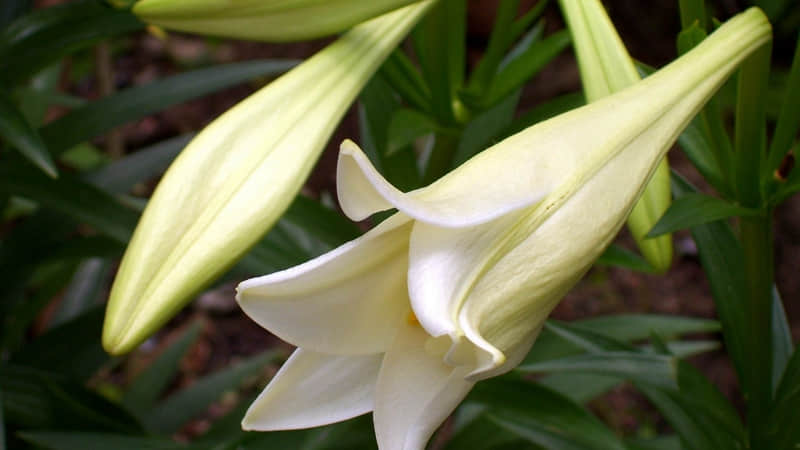 “想他了,就要大大方方的撩~”_wishdown.com “想他了,就要大大方方的撩~”_wishdown.com