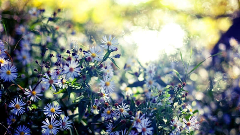 “又美又飒的女人,这样发”_wishdown.com “又美又飒的女人,这样发”_wishdown.com