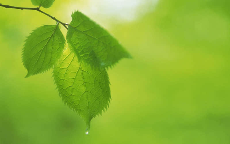 “又美又飒的女人,这样发”_wishdown.com “又美又飒的女人,这样发”_wishdown.com