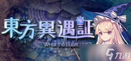 ֤~What the Bullet Hell!Ҫ
