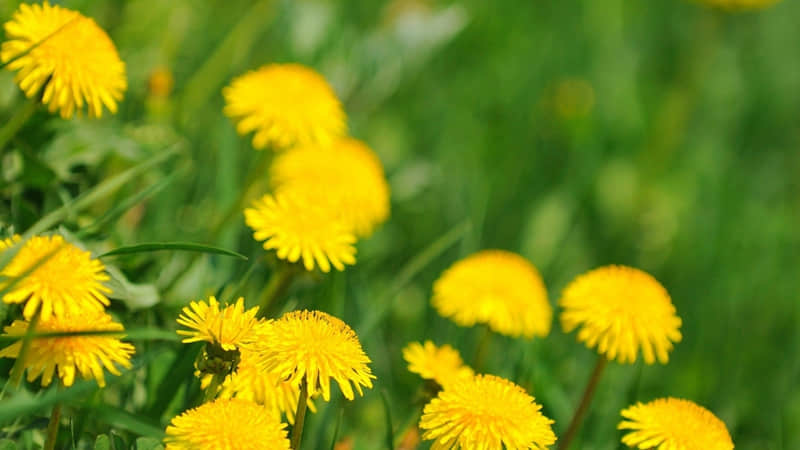 “句子很脏,却很现实”_wishdown.com “句子很脏,却很现实”_wishdown.com