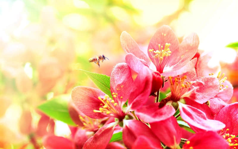 “句句不提累,句句都是累”_wishdown.com “句句不提累,句句都是累”_wishdown.com