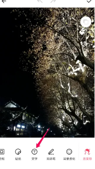 美图秀秀如何添加水印文字 具体操作方法介绍_wishdown.com 美图秀秀如何添加水印文字 具体操作方法介绍_wishdown.com