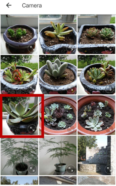 手机美图秀秀怎么p图 美图秀秀p图教程_wishdown.com 手机美图秀秀怎么p图 美图秀秀p图教程_wishdown.com