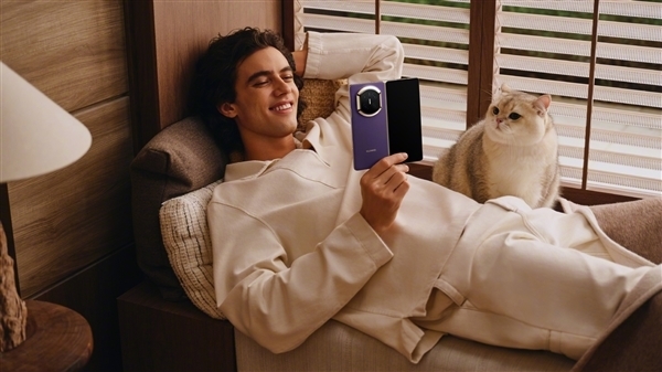 国内折叠屏手机份额排名:华为独占66%!远超荣耀、三星等其他所有厂商总和_wishdown.com 国内折叠屏手机份额排名:华为独占66%!远超荣耀、三星等其他所有厂商总和_wishdown.com