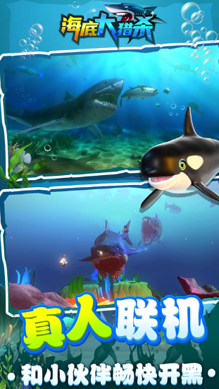 2025最受欢迎的大鱼游戏推荐:经典玩法排行榜TOP精选_wishdown.com 2025最受欢迎的大鱼游戏推荐:经典玩法排行榜TOP精选_wishdown.com