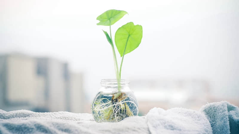 “满腹心事,欲言又止”_wishdown.com “满腹心事,欲言又止”_wishdown.com