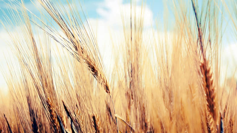 “够你发很久的小众文案”_wishdown.com “够你发很久的小众文案”_wishdown.com