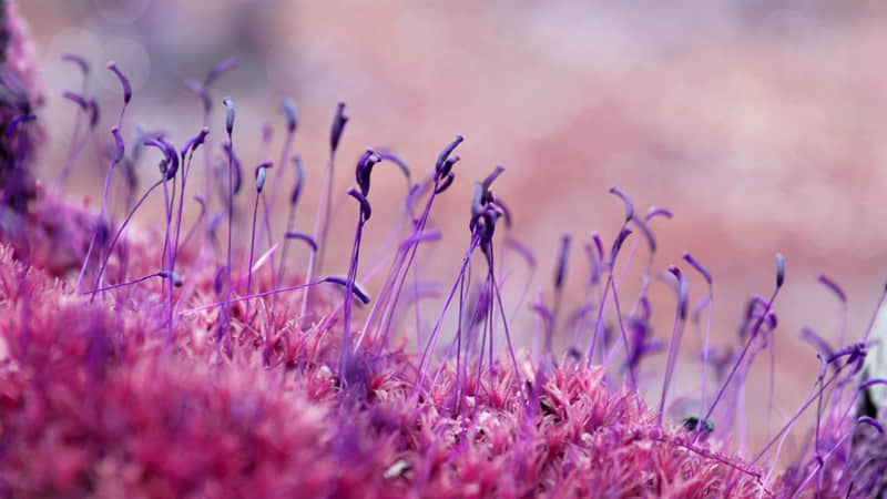 “够你发很久的小众文案”_wishdown.com “够你发很久的小众文案”_wishdown.com