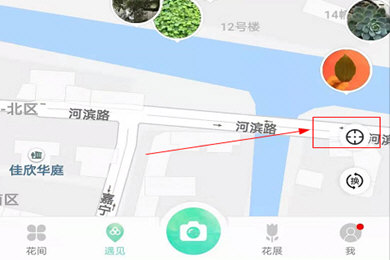 形色app怎么找哪有桑树 形色看附近植物方法_wishdown.com 形色app怎么找哪有桑树 形色看附近植物方法_wishdown.com