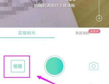 形色如何识别手机照片 形色拍照识别花草树木方法介绍_wishdown.com 形色如何识别手机照片 形色拍照识别花草树木方法介绍_wishdown.com