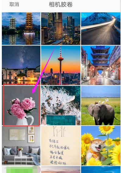 形色如何拍照识别花草树木 形色拍照识别花草树木方法介绍_wishdown.com 形色如何拍照识别花草树木 形色拍照识别花草树木方法介绍_wishdown.com