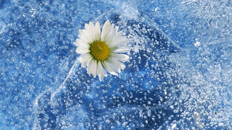 ³ѸĿ˵ûǮˡ̫Цˡ