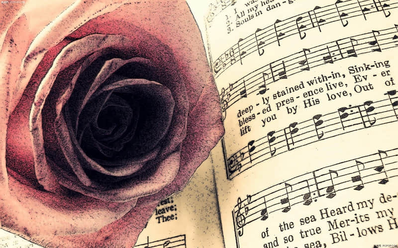 յת˺󣬸ôأ´λת??