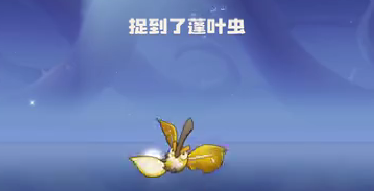 洛克王国蓬叶虫捕捉攻略_wishdown.com 洛克王国蓬叶虫捕捉攻略_wishdown.com