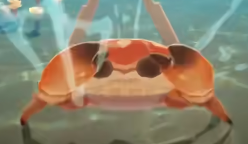 星布谷地可以钓鱼吗_wishdown.com 星布谷地可以钓鱼吗_wishdown.com