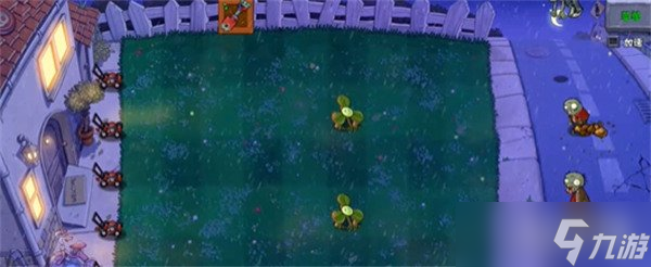 ֲսʬӽαװҶʲôЧ αװҶ