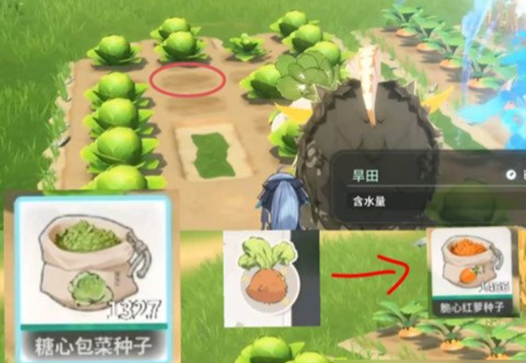 蓝色星原旅谣种菜玩法详解_wishdown.com 蓝色星原旅谣种菜玩法详解_wishdown.com