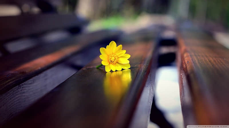 2?2?/??.??簲û˲Ը⿴