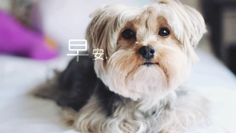 “抄下来,适合长期不发动态的你”_wishdown.com “抄下来,适合长期不发动态的你”_wishdown.com