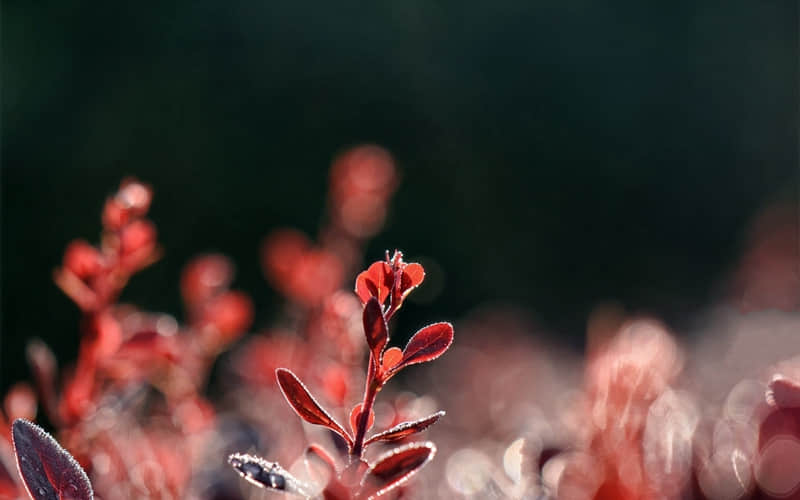 “抄下来,适合长期不发动态的你”_wishdown.com “抄下来,适合长期不发动态的你”_wishdown.com