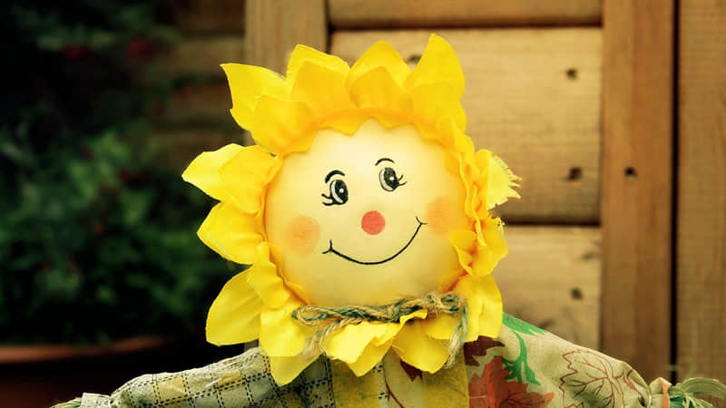 “句句很脏,却很现实!”_wishdown.com “句句很脏,却很现实!”_wishdown.com