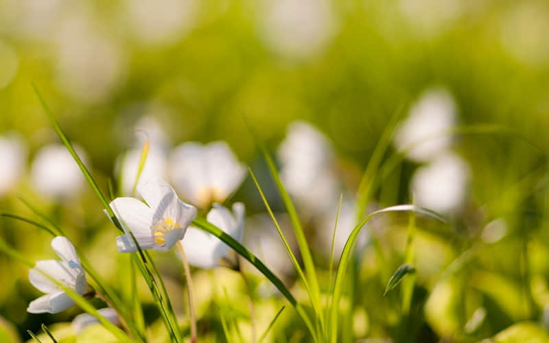 “取个厅里厅气的微信昵称”_wishdown.com “取个厅里厅气的微信昵称”_wishdown.com