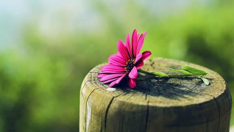 10个幽默小笑话,笑死了,哈哈哈_wishdown.com 10个幽默小笑话,笑死了,哈哈哈_wishdown.com