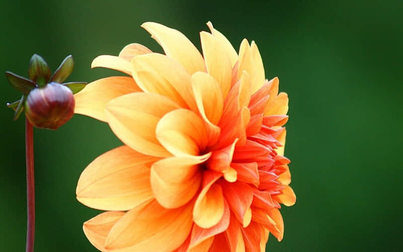 人生大忌:阴气环绕的人,果断拉黑_wishdown.com 人生大忌:阴气环绕的人,果断拉黑_wishdown.com