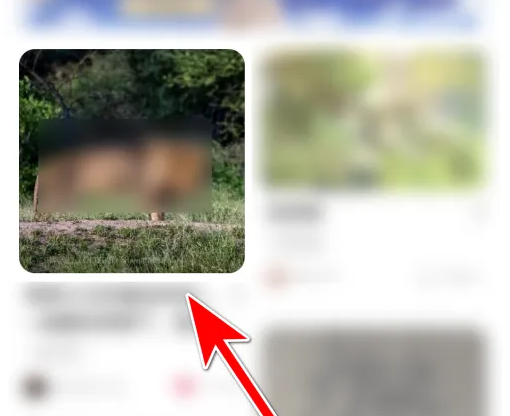 lofterξٱ LOFTERͶΥ·