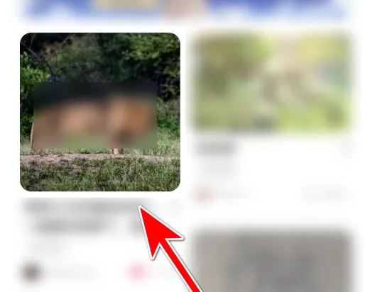 lofterθ LOFTERµӽ̳