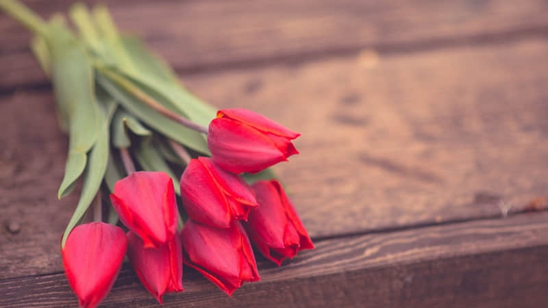 “突然就释怀了的清醒文案”_wishdown.com “突然就释怀了的清醒文案”_wishdown.com