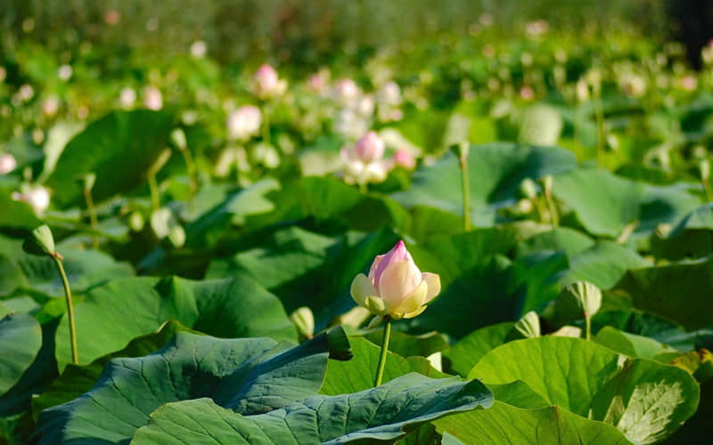 “突然就释怀了的清醒文案”_wishdown.com “突然就释怀了的清醒文案”_wishdown.com